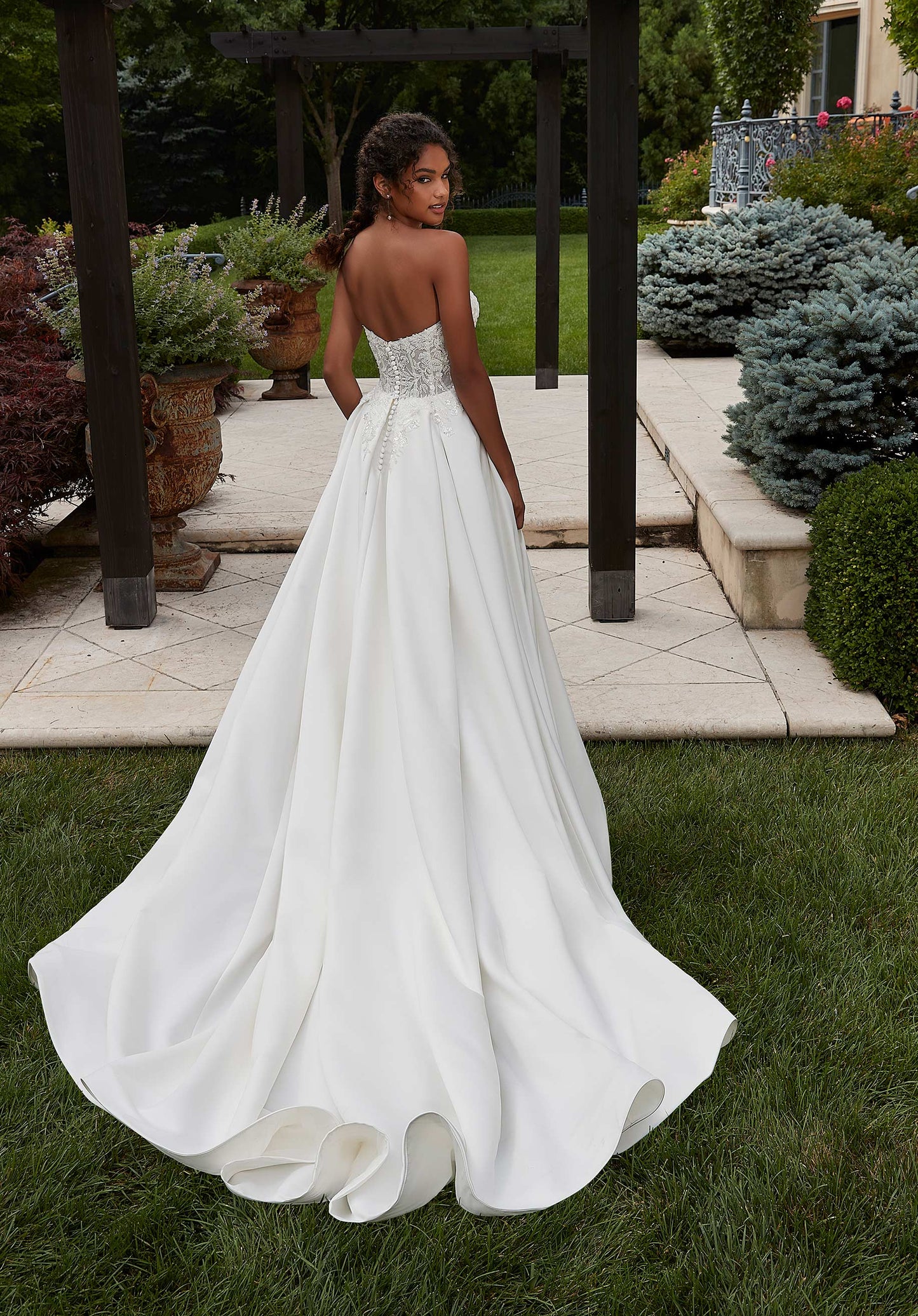 ML2623 - Patricia