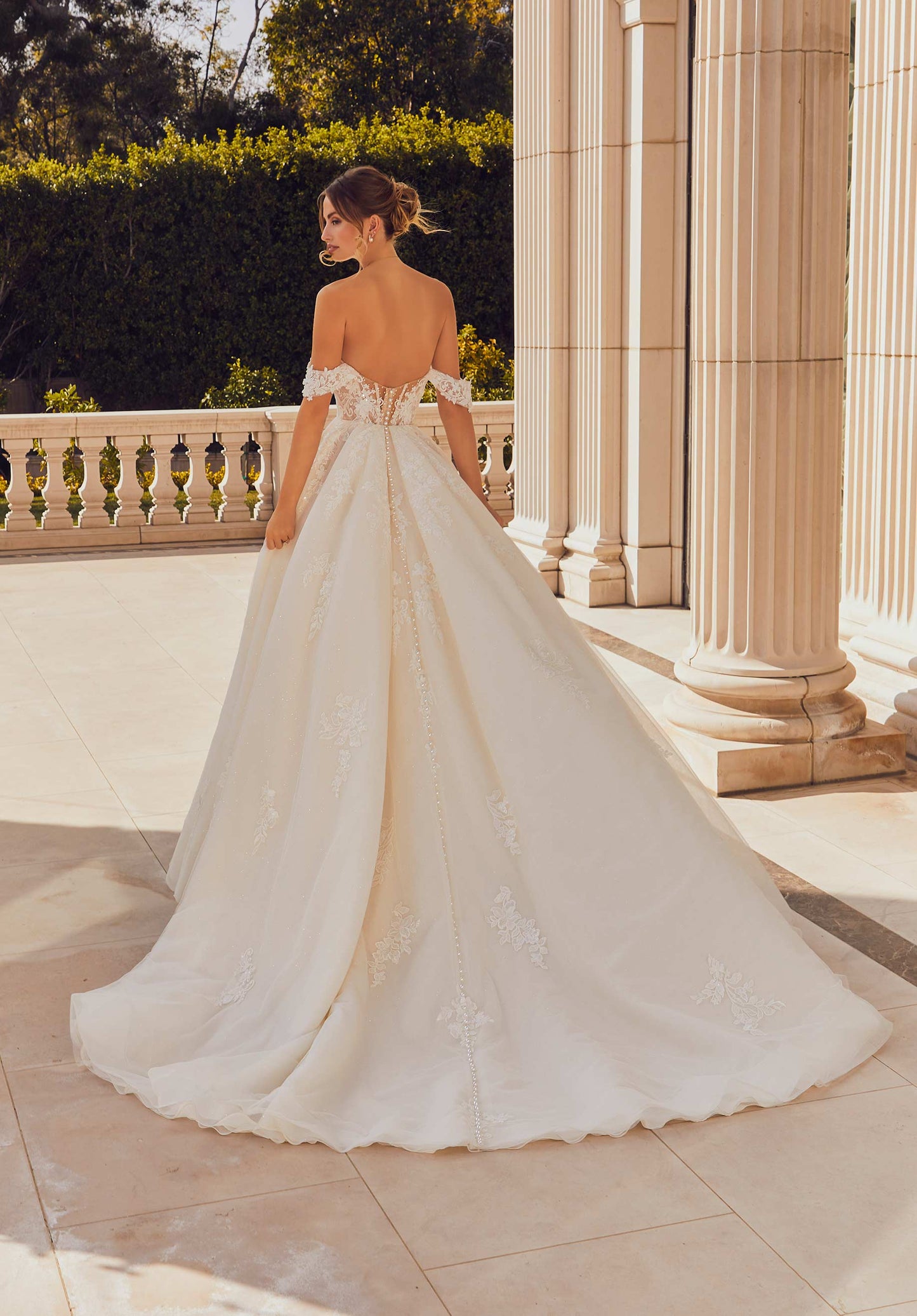 ML2649 - Renata