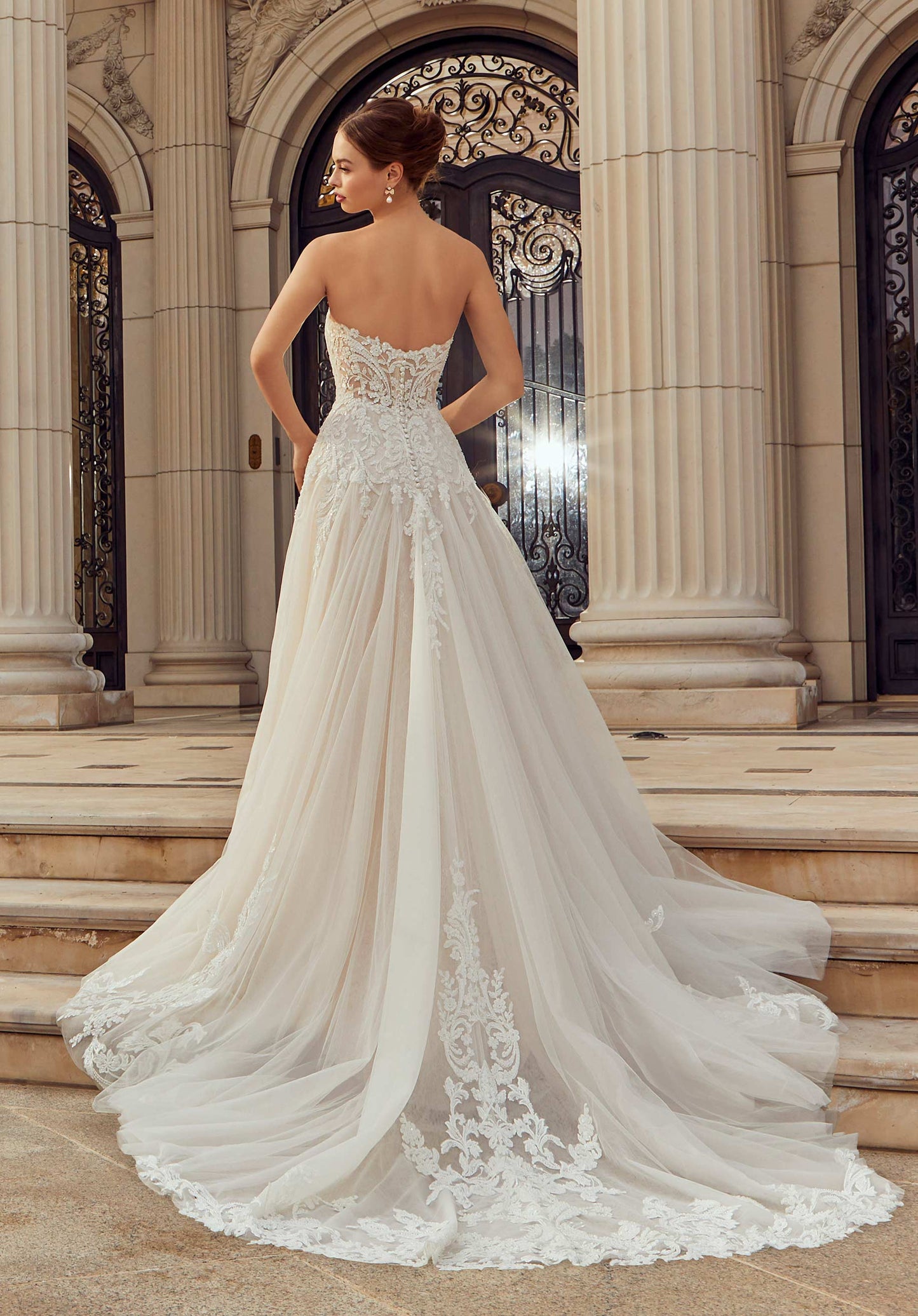 ML2660 - Regina